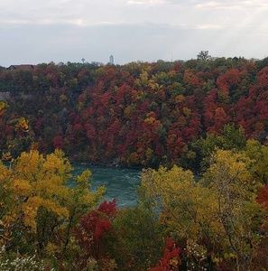 Meet your Posher, Reyhan